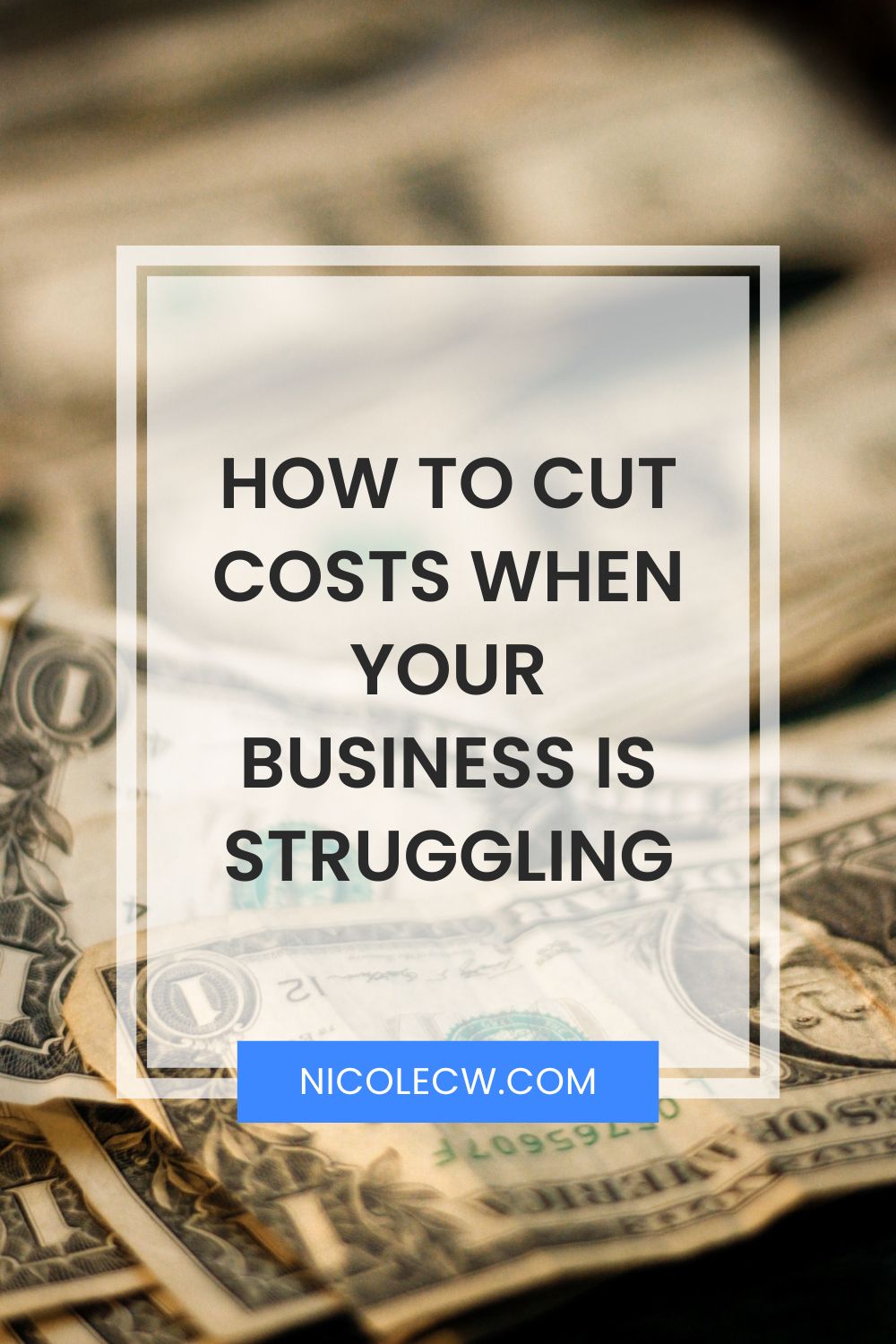 [Entrepreneurship Tips] How To Cut Costs When Your Business Is Struggling